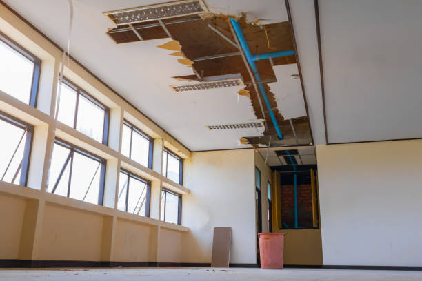 Best Flooded house restoration  in Abingdon, MD