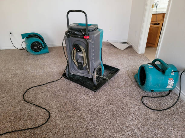 Best Fire Damage Restoration  in Abingdon, MD