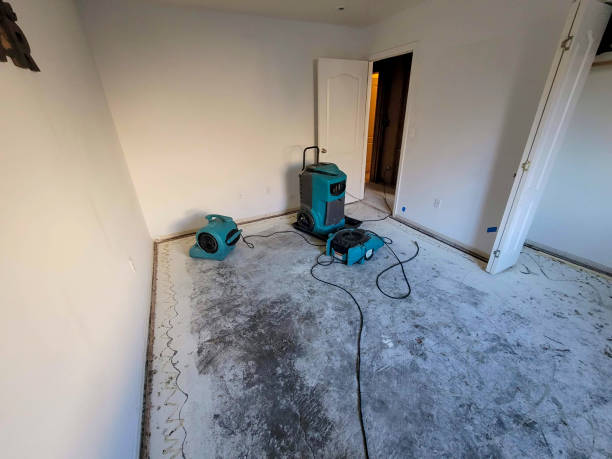 Best Water damage restoration mold remediation  in Abingdon, MD