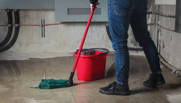 Best Water damage contractors near me  in Abingdon, MD