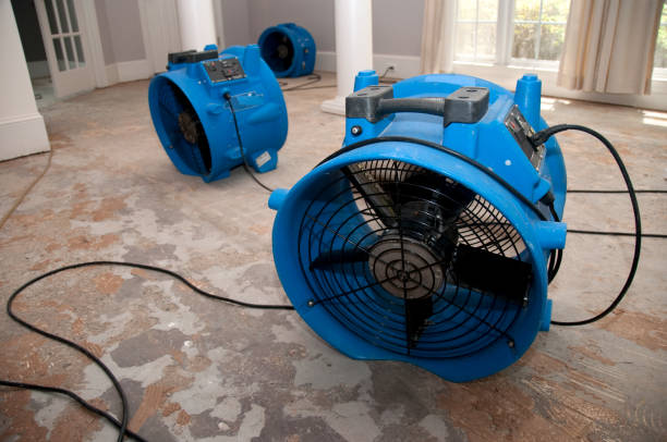 Water damage restoration mold remediation in MD