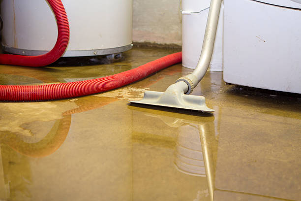 Best Local water damage restoration  in Abingdon, MD