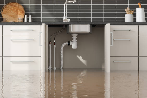 Best Local water damage restoration  in Abingdon, MD